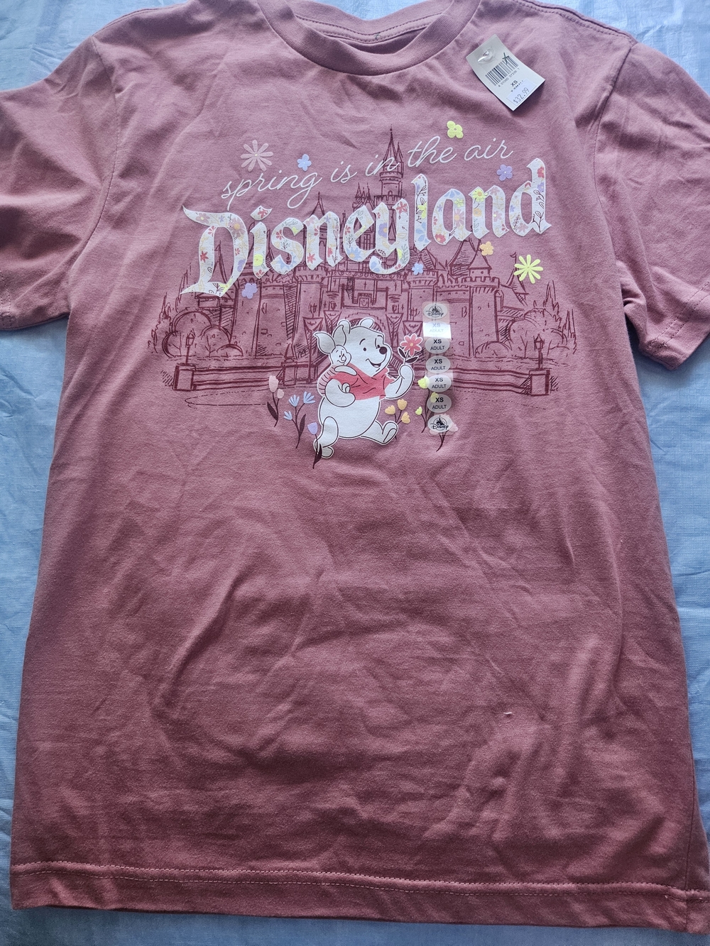 Disneyland Winnie the Pooh  T-Shirt